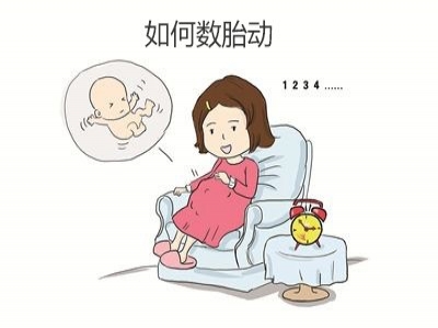 胎兒好不好，胎動全知道，數(shù)胎動的重要性