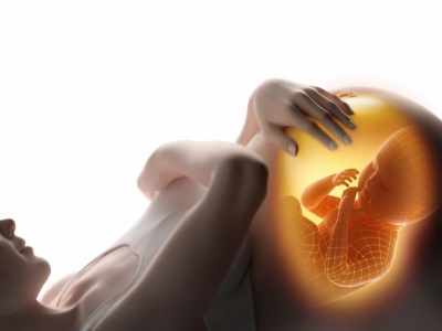 【產后】分娩后的產婦坐月子產后恢復注意事項